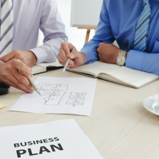 The Professional Planning
